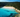 Cala Trebaluger in Menorca: wild nature for adventurers - sweetmenorca