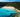 Cala Trebaluger in Menorca: wild nature for adventurers - sweetmenorca