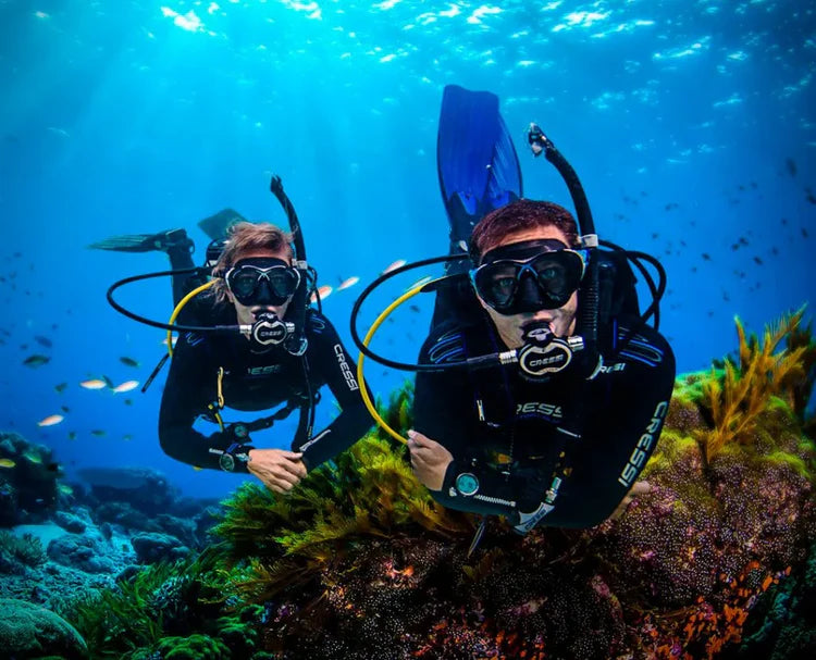 Guia de Buceo en Menorca